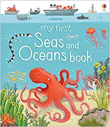 My First Seas and Oceans book