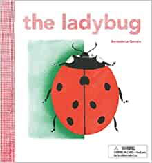 The Ladybug