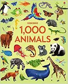 1000 Animals revised