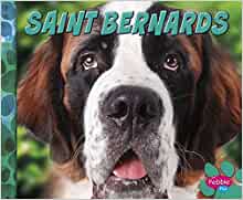 Saint Bernards (Big Dogs)