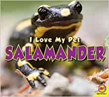 Salamander (I Love My Pet)