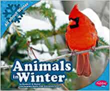 Animals in Winter (All About Winter)