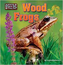 Wood Frogs (Little Bits: In Winter, Where Do They Go?)