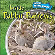 Inside Rabbit Burrows (Inside Animal Homes)