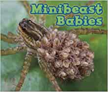 Minibeast Babies (Acorn: Animal Babies)