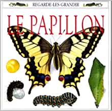 Le papillon