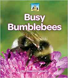 Busy Bumblebees (Bug Books)