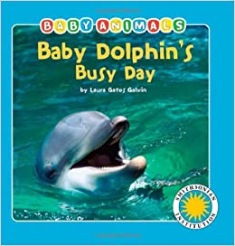 Baby Dolphin's Busy Day - a Smithsonian Baby Animals Book (Baby Animals (Kingfisher))