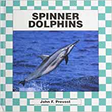 Spinner Dolphins