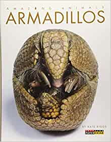 Armadillos (Amazing Animals)