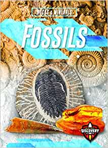 Fossils (Rocks & Minerals)