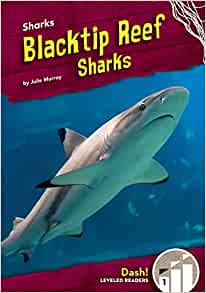 Blacktip Reef Sharks