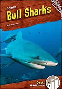 Bull Sharks