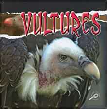 Vultures (Raptors)