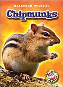 Chipmunks (Blastoff! Readers: Backyard Wildlife) (Blastoff! Readers: Backyard Wildlife: Level 1 (Library))