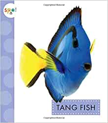 Tang Fish (Spot Ocean Animals)