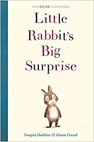 Little Rabbit's Big Surprise