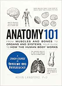 Anatomy 101: From Muscles and Bones to Organs and Systems, Your Guide to How the Human Body Works (Adams 101)