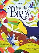Pop-Up Birds (Pop-Ups)