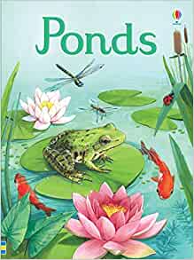 Ponds (Beginners)