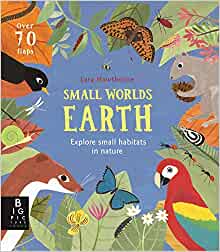 Small Worlds: Earth