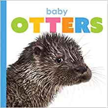 Baby Otters (Starting Out)