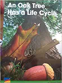 AN OAK TREE HAS A LIFE CYCLE