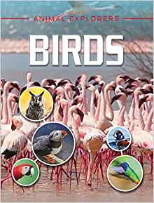 Birds (Animal Explorers)