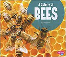 A Colony of Bees (Animal Groups)