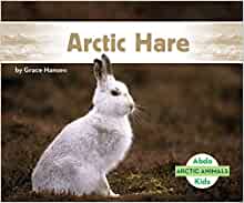 Arctic Hare (Arctic Animals)