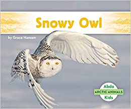 Snowy Owl (Arctic Animals)