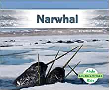 Narwhal (Arctic Animals)