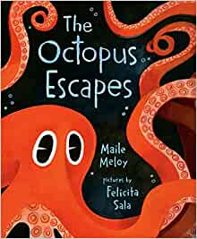 The Octopus Escapes