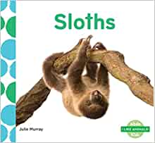 Sloths (I Like Animals! Set 2)