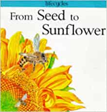 From Seed to Sunflower (Lifecycles)