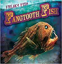 Fangtooth Fish (Freaky Fish)