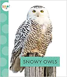 Snowy Owls (Spot Arctic Animals)