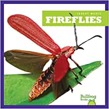 Fireflies (Bullfrog Books: Insect World)