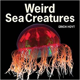 Weird Sea Creatures