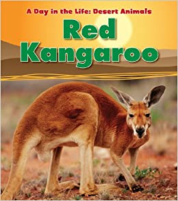A Day in the Life: Desert Animals - Red Kangaroo
