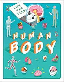 Lift The Flaps: Human Body (Discovery Lift the Flaps)