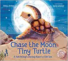 Chase the Moon, Tiny Turtle: A Hatchling's Daring Race to the Sea