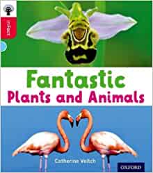 Oxford Reading Tree inFact: Oxford Level 4: Fantastic Plants and Animals