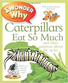 I Wonder Why Caterpillars Eat So Much: And Other Questions About Life Cycles