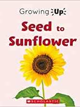 Seed to Sunflower (Growing Up) (Paperback) (Explore the Life Cycle!)
