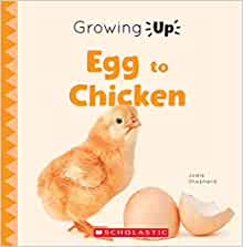 Egg to Chicken (Growing Up) (Paperback) (Explore the Life Cycle!)