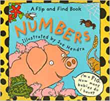 Flip and Find Numbers (Flip and Find)