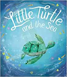 Little Turtle & The Sea