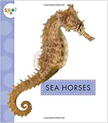 Sea Horses (Spot Ocean Animals)