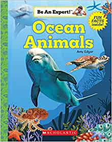 Ocean Animals (Be An Expert!) (paperback)